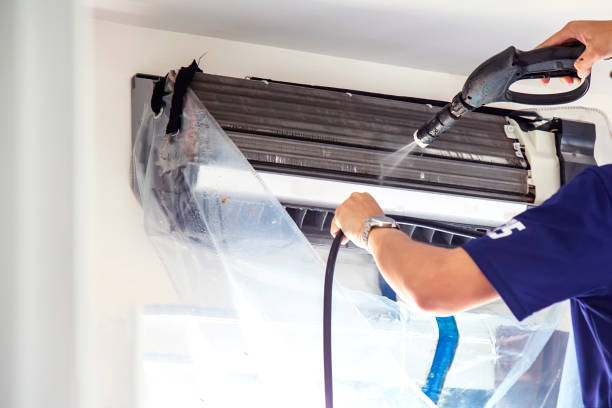 Best Affordable Duct Cleaning Services  in Dassel, MN