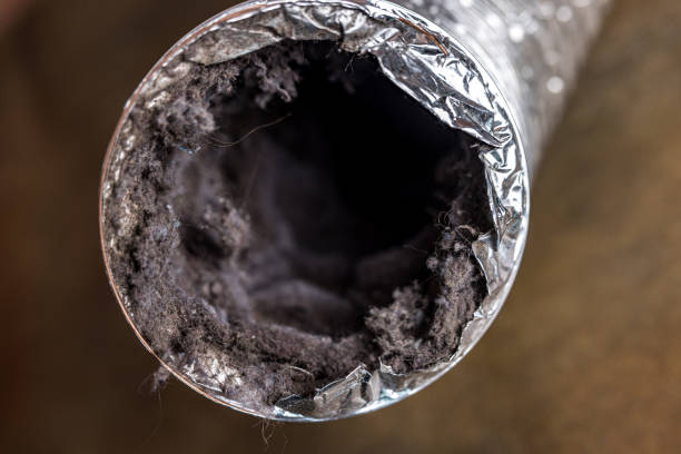 Best Air Duct Cleaning Near Me  in Dassel, MN