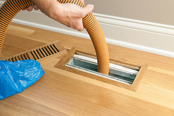 Best Local Air Duct Cleaning Services  in Dassel, MN