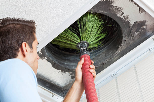 Best Air Duct Cleaning Near Me  in Dassel, MN