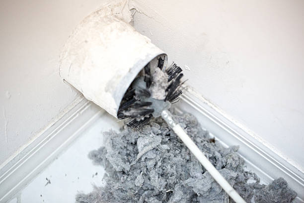 Best Air Vent Cleaning Services  in Dassel, MN