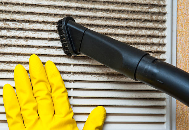 Best Commercial Air Duct Cleaning  in Dassel, MN